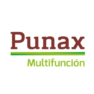 Punax